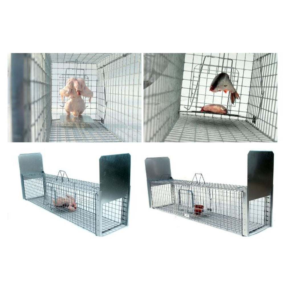 Narvas-gaudyklė spąstai 150x34x34 cm STRONG