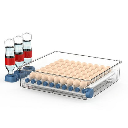 Automatinis kiaušinių inkubatorius