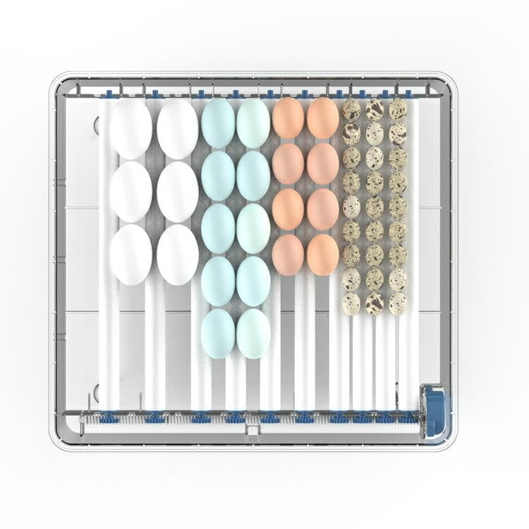 Automatinis kiaušinių inkubatorius