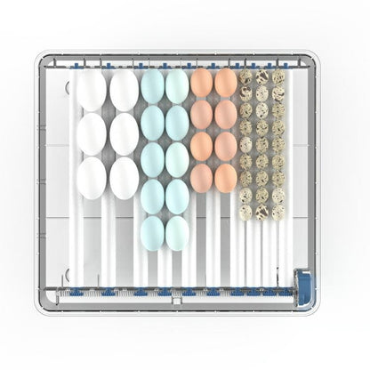 Automatinis kiaušinių inkubatorius