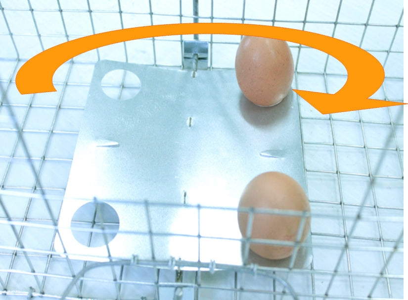 Narvas spąstai 82x26x26CM