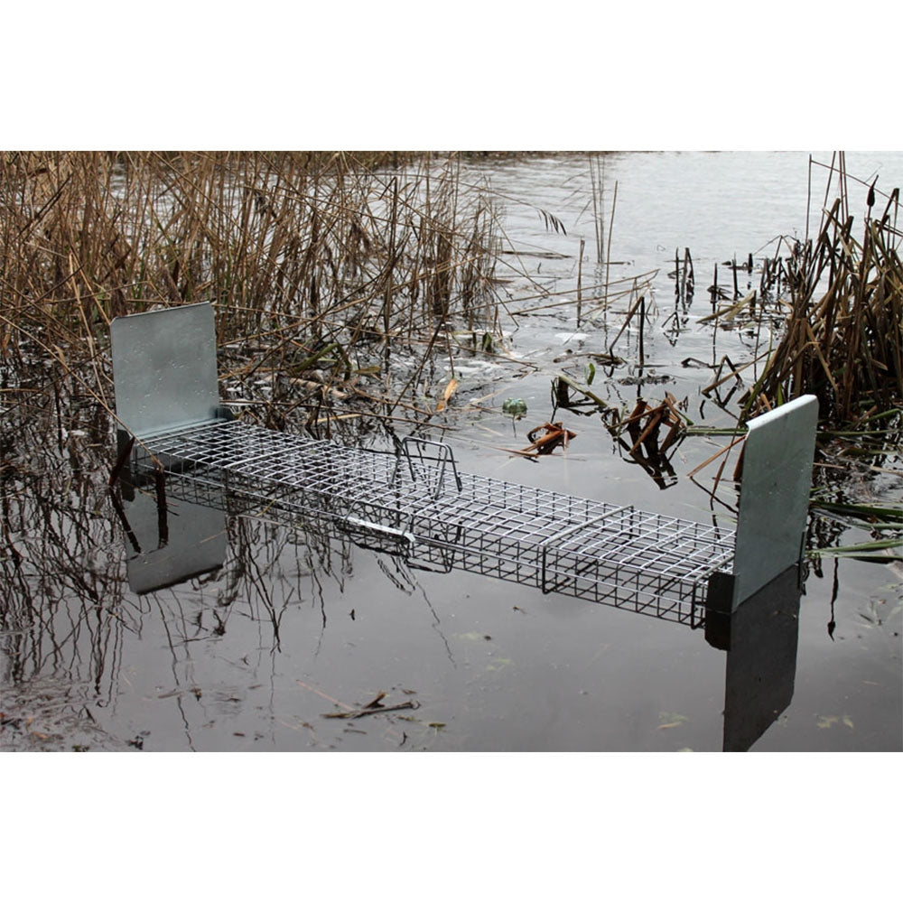 Narvas-gaudyklė spąstai 150x34x34 cm STRONG