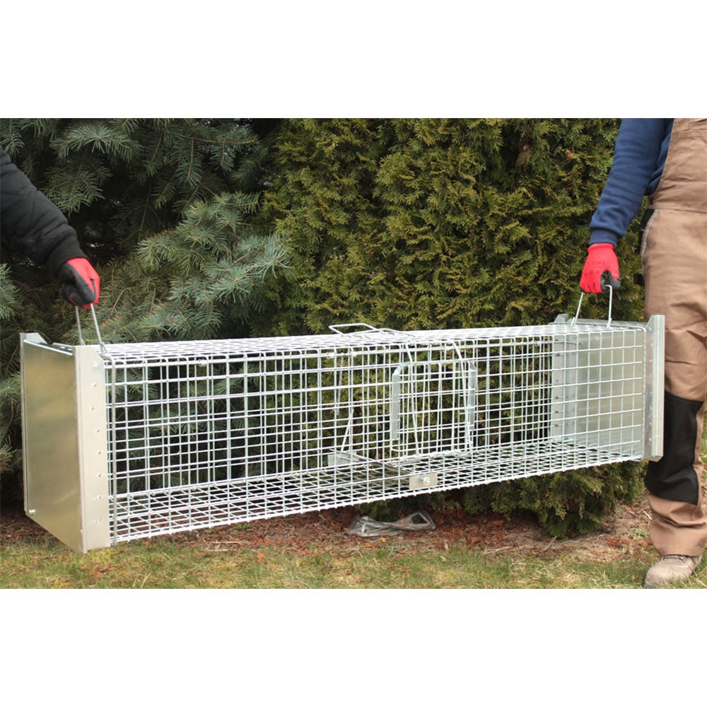 Narvas-gaudyklė spąstai 150x34x34 cm STRONG