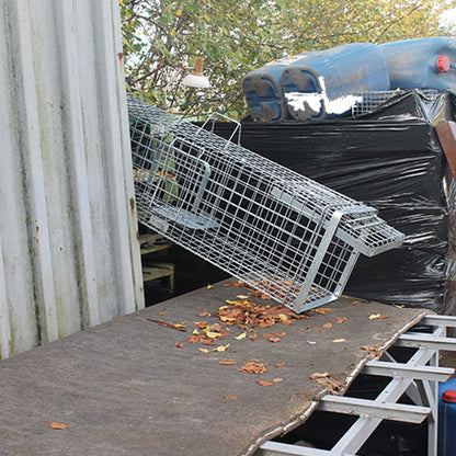 Narvas/gaudyklė spąstai 102x34x34 HARDY