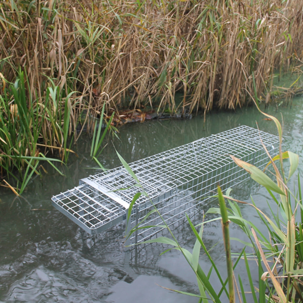 Narvas/gaudyklė spąstai 102x34x34 HARDY