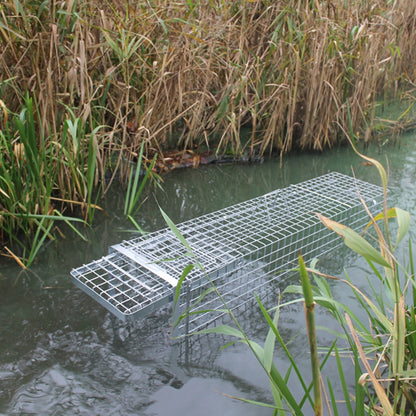 Narvas/gaudyklė spąstai 102x34x34 HARDY