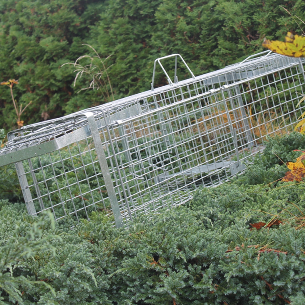 Narvas/gaudyklė spąstai 102x34x34 HARDY