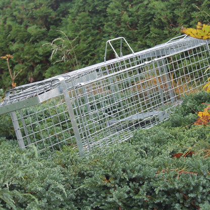 Narvas/gaudyklė spąstai 102x34x34 HARDY