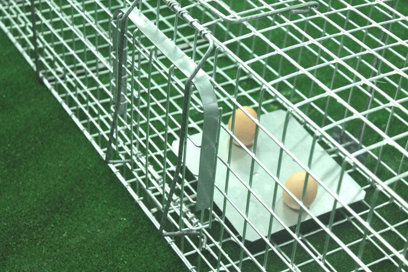 Profesionalus narvas spąstai 120x34x34 cm du įėjimai