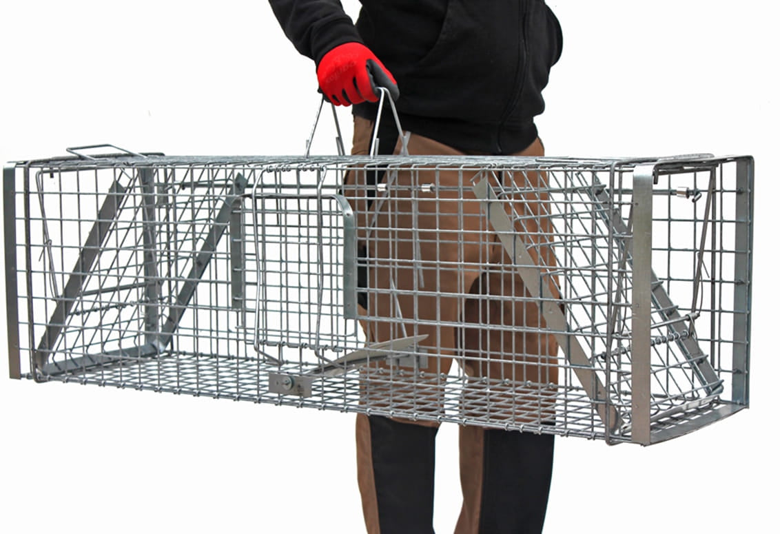 Profesionalus narvas spąstai 120x34x34 cm du įėjimai