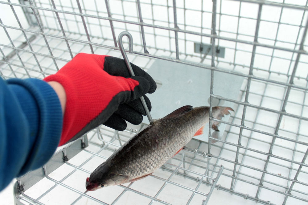 Profesionalus narvas spąstai 120x34x34 cm du įėjimai