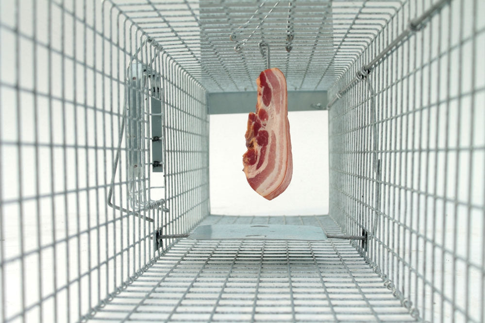 Profesionalus narvas spąstai 120x34x34 cm du įėjimai