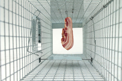 Profesionalus narvas spąstai 120x34x34 cm du įėjimai