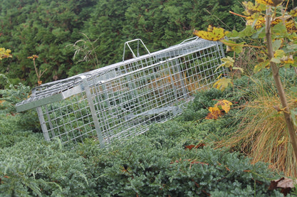 Profesionalus narvas spąstai 120x34x34 cm du įėjimai