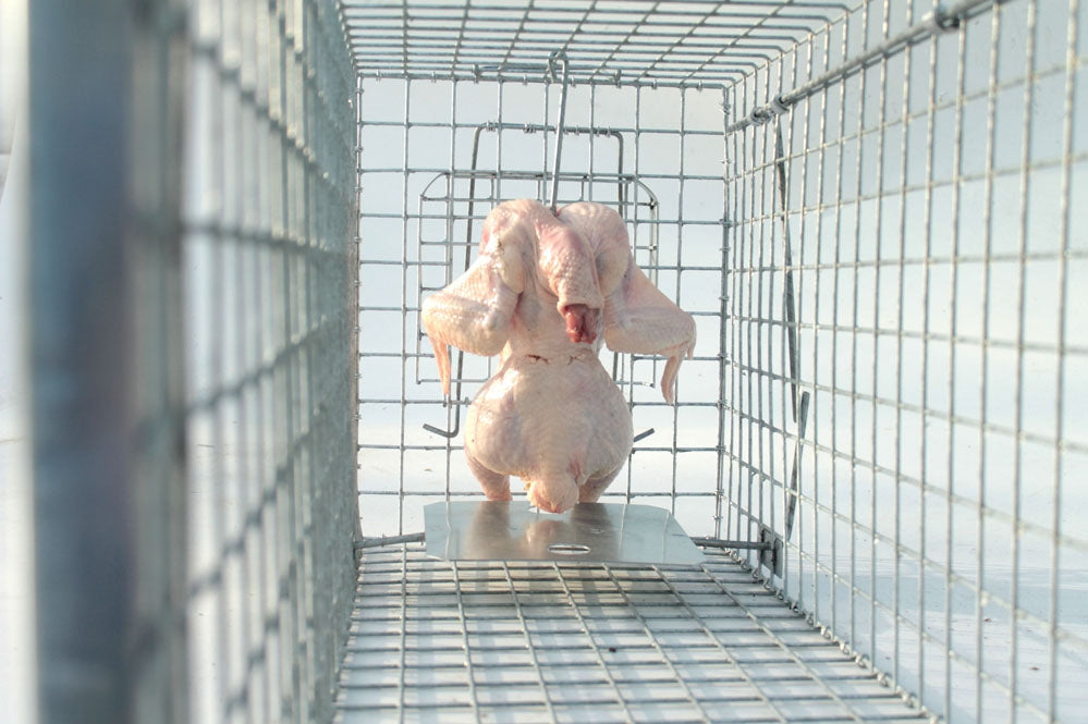 Profesionalus Narvas spąstai 80x34x34 Cm HARDY