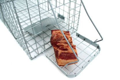 Profesionalus Narvas spąstai 80x34x34 Cm HARDY