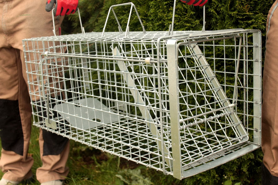 Profesionalus Narvas spąstai 80x34x34 Cm HARDY