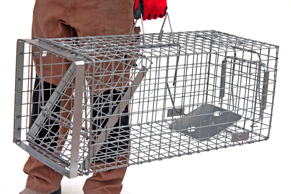 Profesionalus Narvas spąstai 80x34x34 Cm HARDY