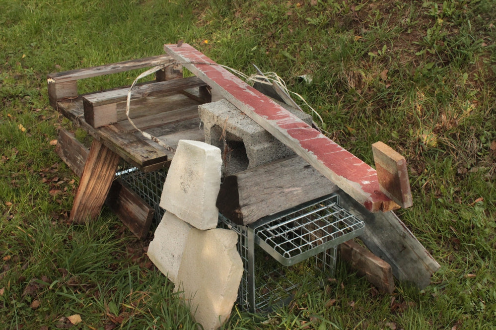 Profesionalus Narvas spąstai 80x34x34 Cm HARDY