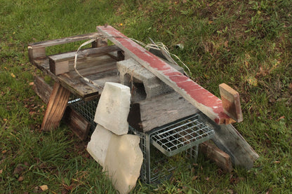 Profesionalus Narvas spąstai 80x34x34 Cm HARDY