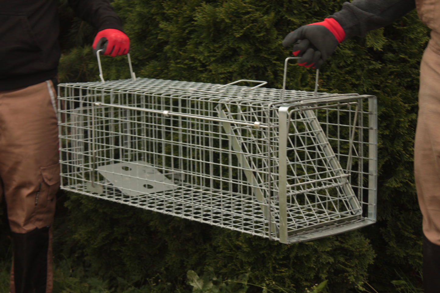 Profesionalus Narvas spąstai 80x34x34 Cm HARDY