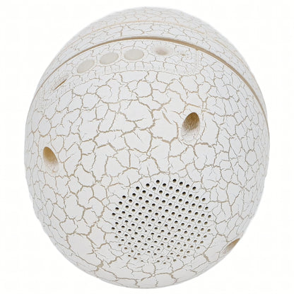 Projektorius Dinozauro Kiaušinio Formos su Garsiakalbiu