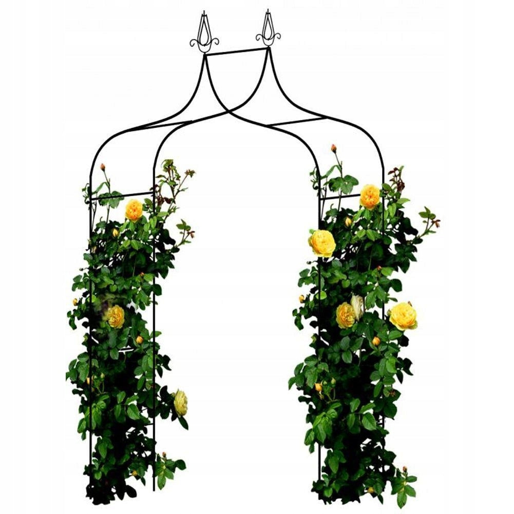 Sodo pergola augalams 150 × 37 × 240 cm, metalinė, juoda