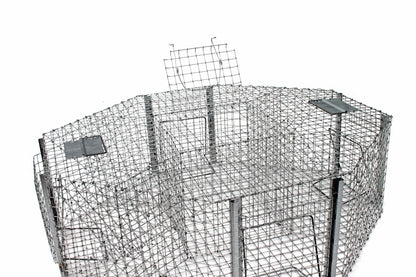 Spąstai paukščiams