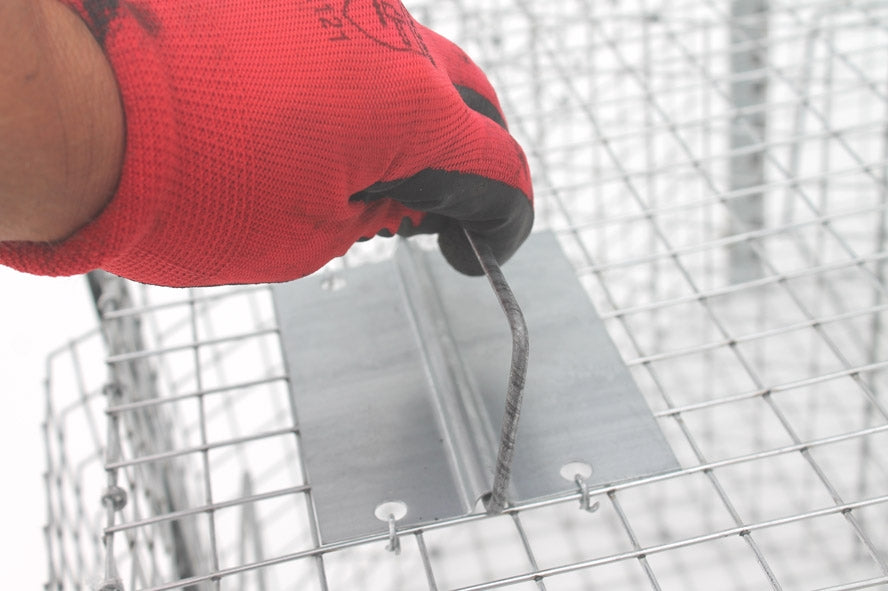 Spąstai paukščiams