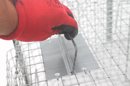 Spąstai paukščiams