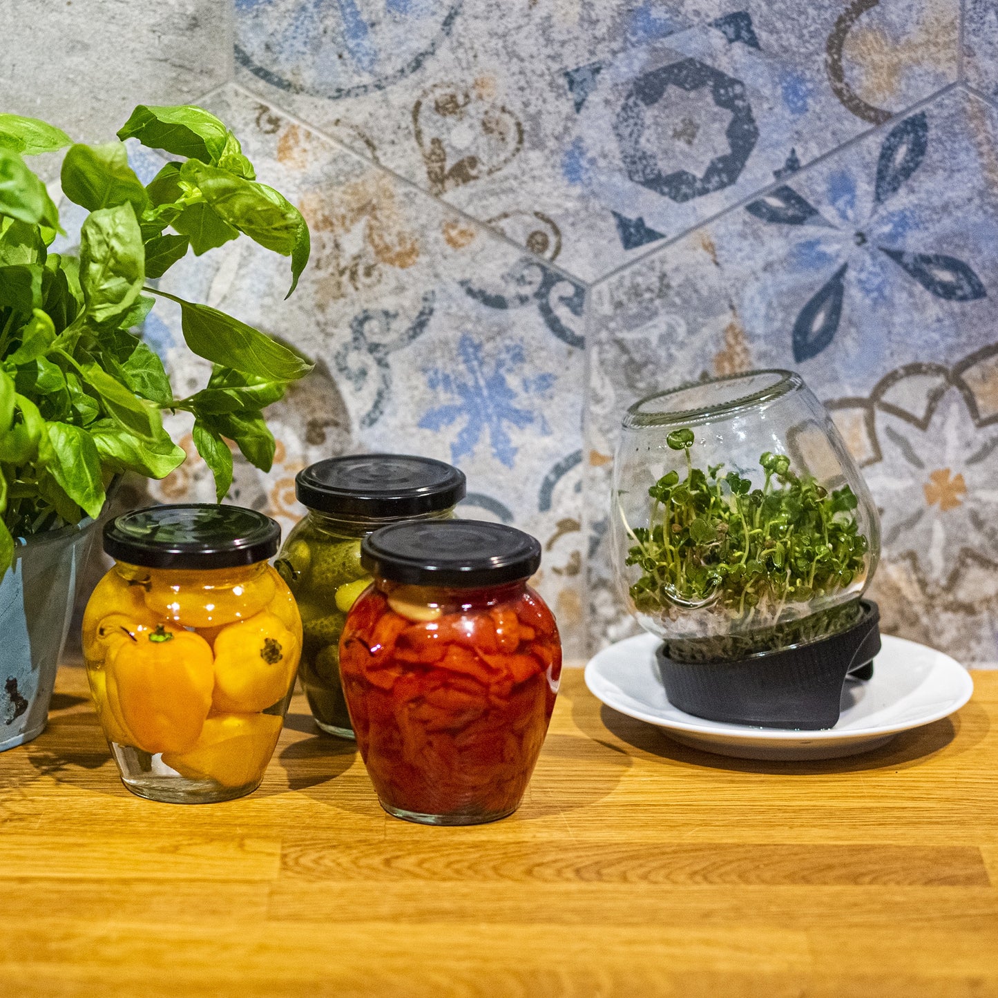 Stiklainio daigykla su sieteliu (twist-off tipo)