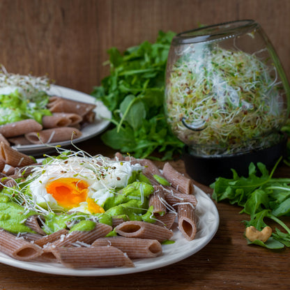 Stiklainio daigykla su sieteliu (twist-off tipo)