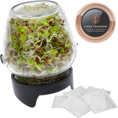 Stiklainio daigykla su sieteliu (twist-off tipo)