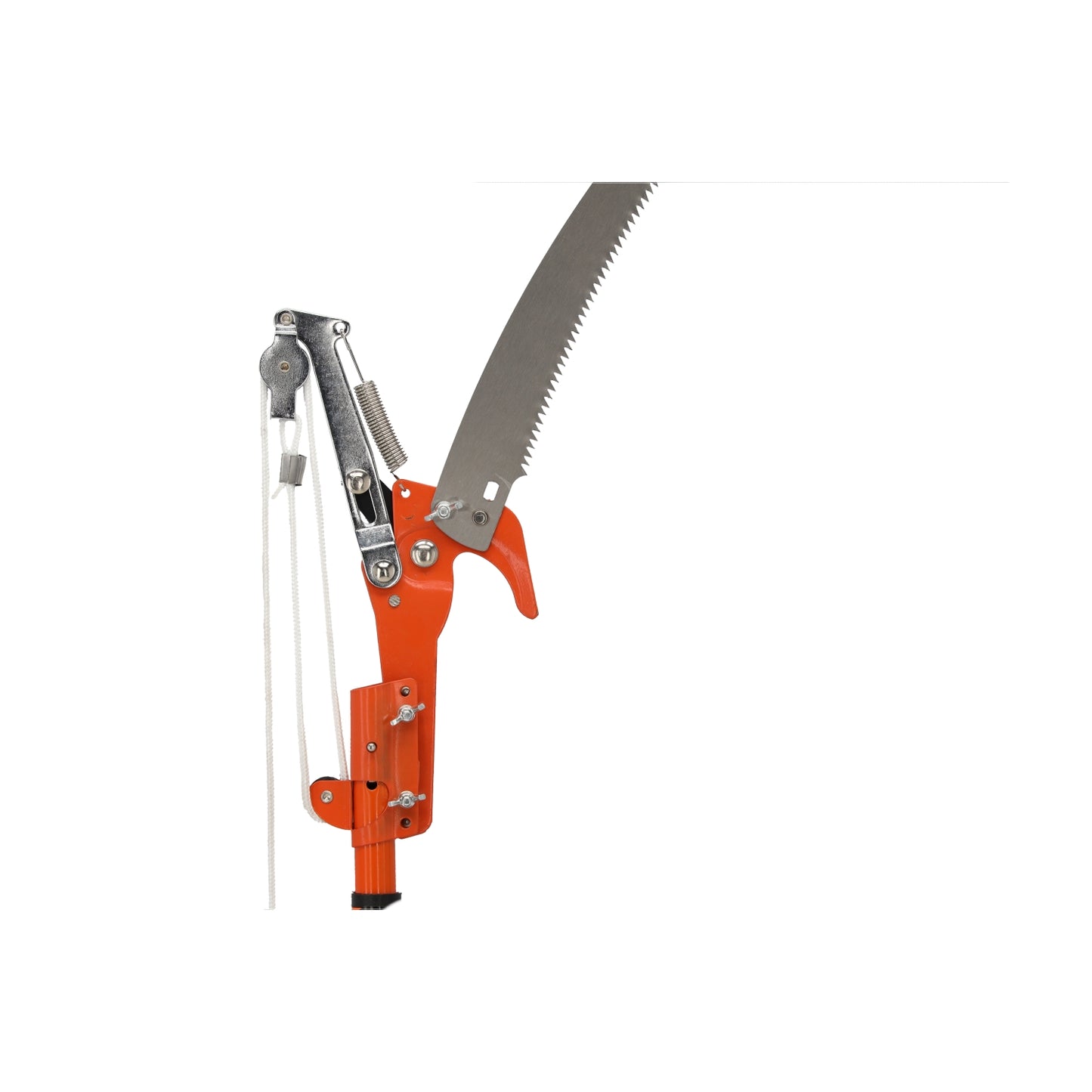 Teleskopinis šakų genėtuvas su pjūklu 250 cm