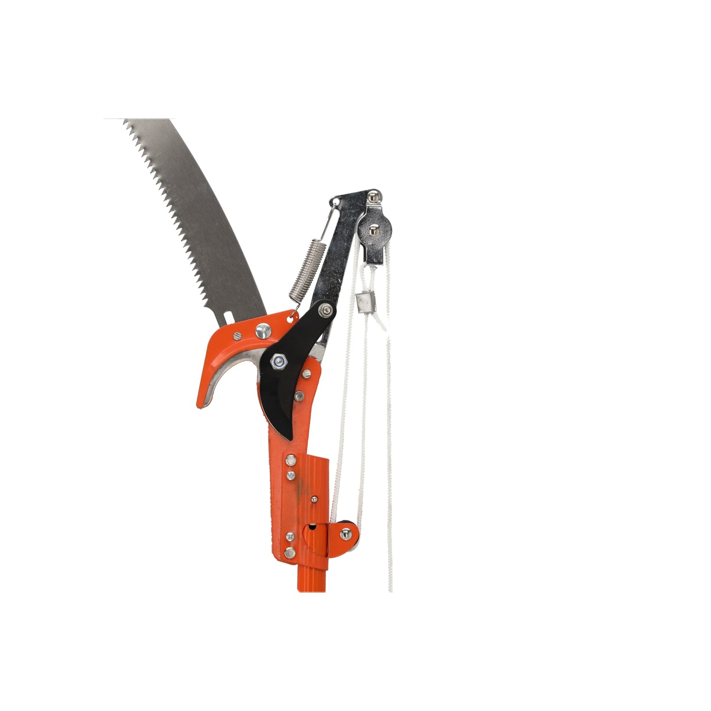 Teleskopinis šakų genėtuvas su pjūklu 250 cm