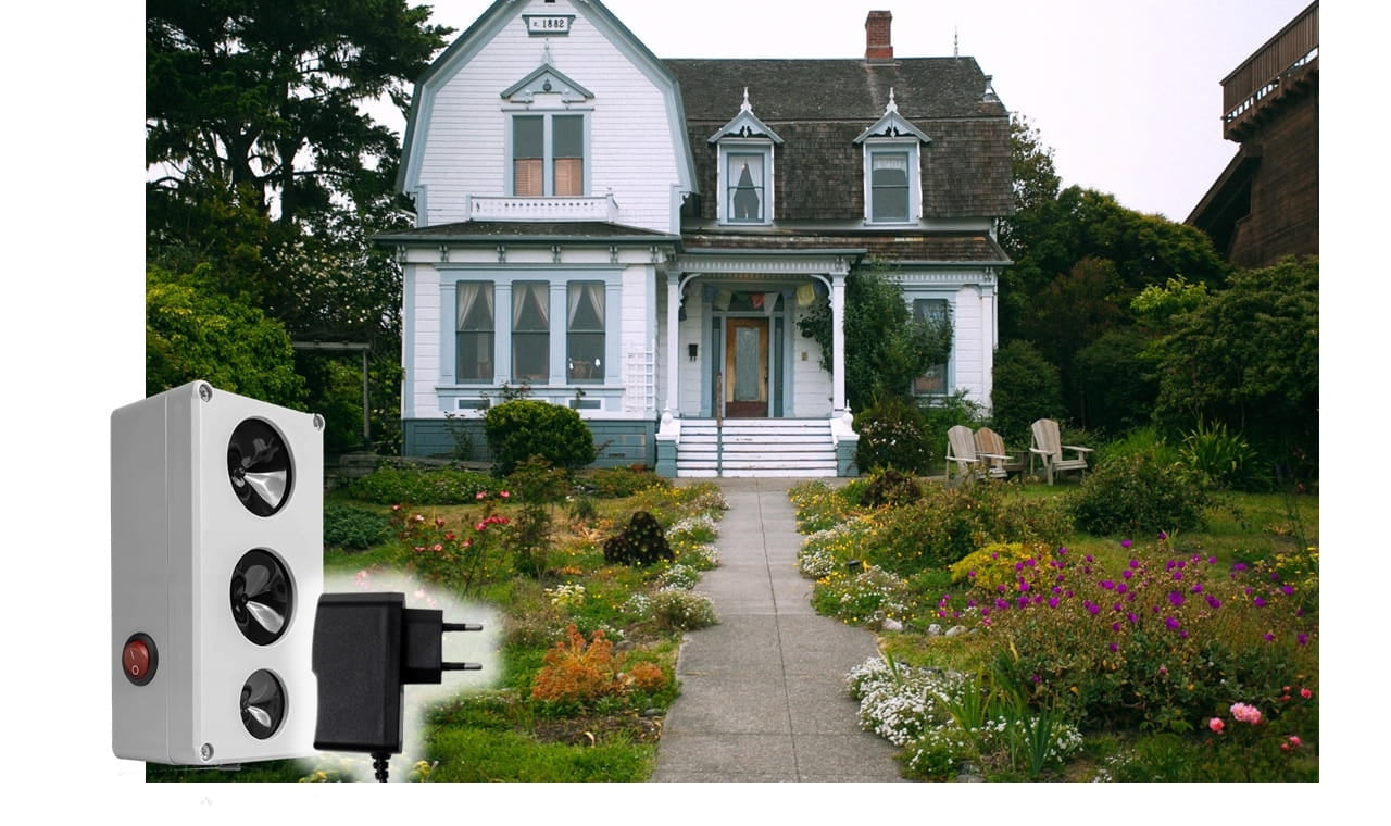 Ultragarsine Baidyklė C300